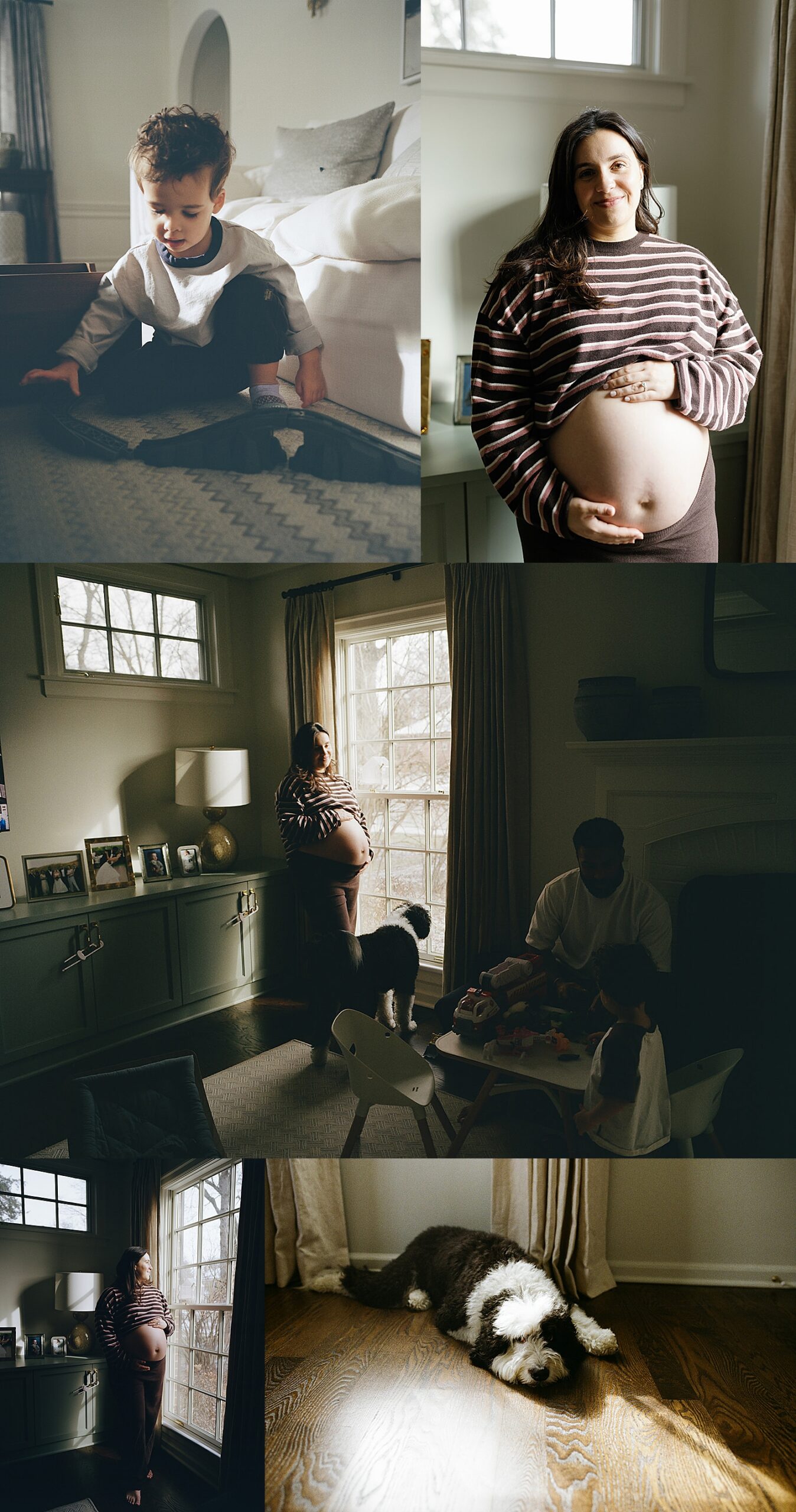 family sits quietly in their living room with their pup by Chicago film photographer